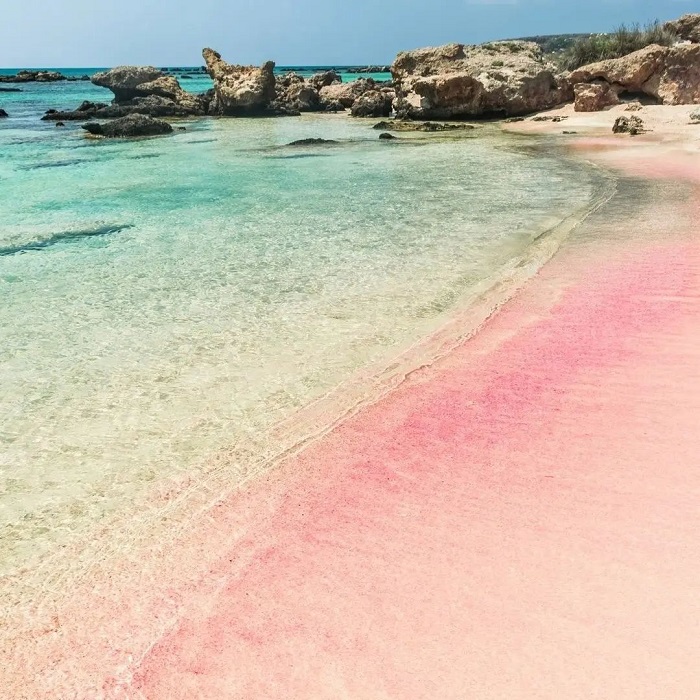 Những bãi biển cát hồng trên thế giới siêu lãng mạn, khiến hội yêu biển mê tít