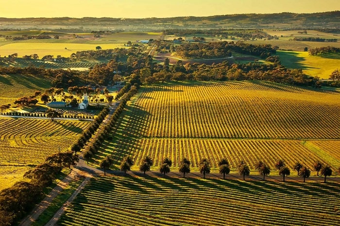 Thung lũng Barossa Úc: thiên đường rượu vang hảo hạng của nước Úc