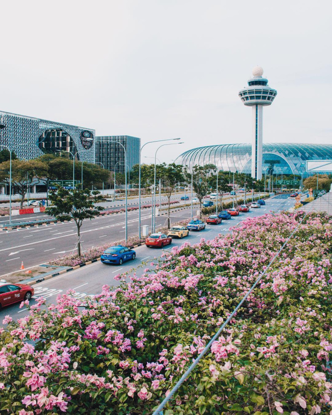 Lọt vào sân bay Changi - khu phố thu nhỏ siêu đỉnh và hiện đại của Singapore