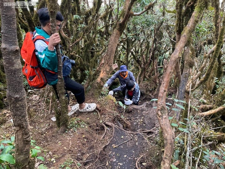 bat xat district, hoang lien son, international travelers, northwest, a two-day, one-night journey through the forest to conquer the 9th highest mountain in vietnam