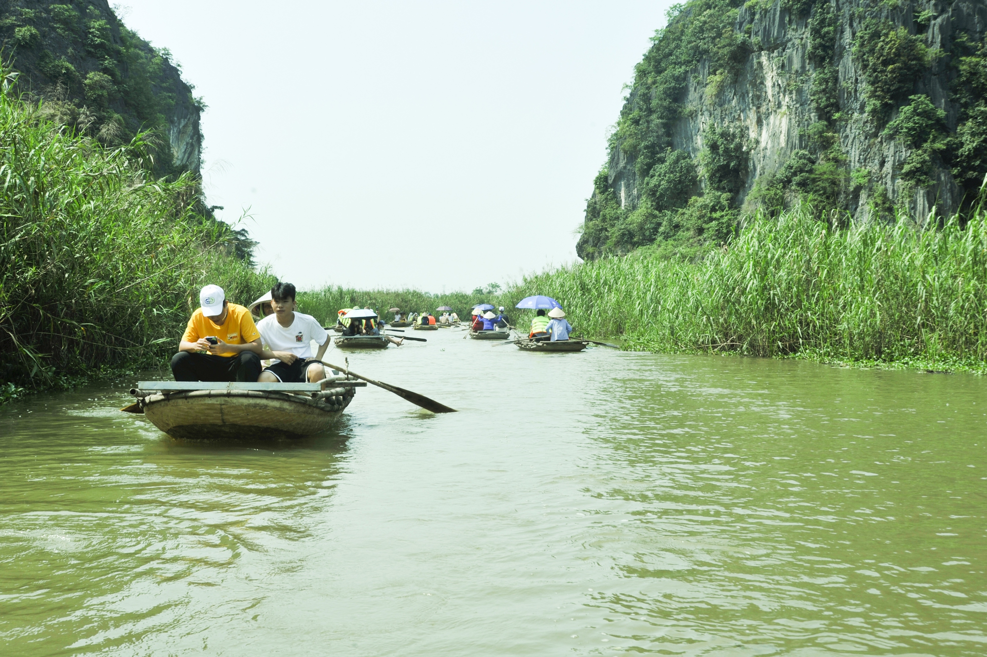 experience, ninh binh, scenery, van long lagoon, explore van long lagoon – where the famous movie kong: skull island was filmed in ninh binh