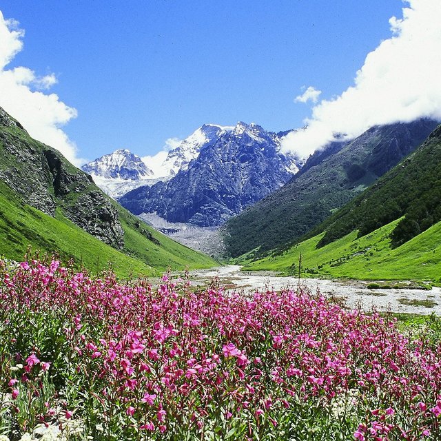 valley of flowers trek - heaven on earth