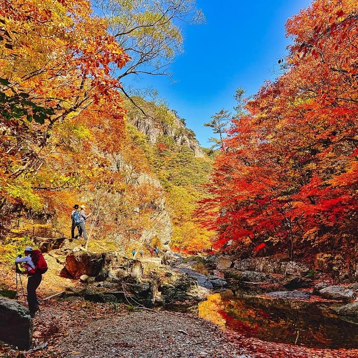 Chiêm ngưỡng nét quyến rũ khó cưỡng ở vườn quốc gia Juwangsan Hàn Quốc