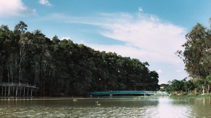 Hồ Trúc Đắk Nông - 'lá phổi xanh' thơ mộng giữa lòng Cư Jút