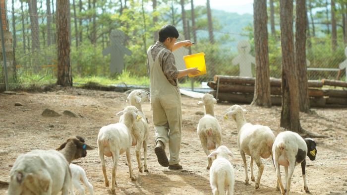 Những vườn thú ở Đà Lạt 'cưng muốn xỉu' cho người yêu động vật 