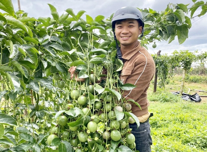 applying scientific progress, change your life, farmer billionaire, https://vinlove.net, make billions, three farmers earn billions, each planting a “super” fruit tree