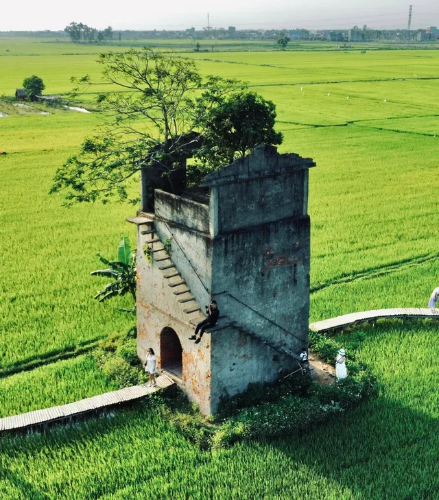 hoi an old brick kiln – a super hot check-in spot during the green rice season in 2023