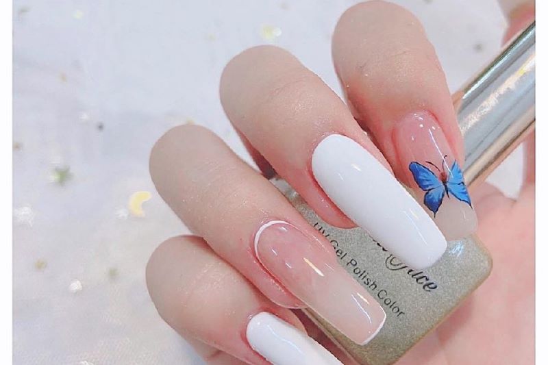 nail đẹp, top 15+ những mẫu nail bướm xinh đẹp sống động rực rỡ