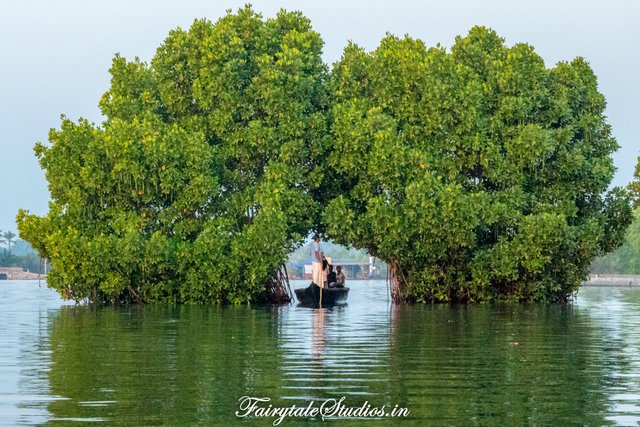 munroe island in kollam, south kerala - a complete travel guide
