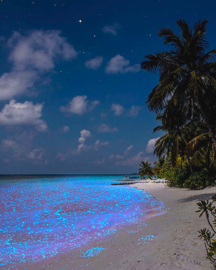 Những hoạt động đáng trải nghiệm cho chuyến du lịch hè nghỉ dưỡng ở Maldives thêm trọn vẹn