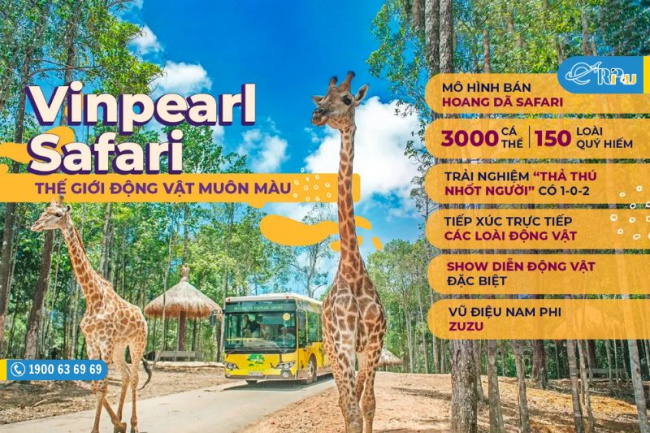 Vinpearl Safari Phú Quốc: Review Vườn thú Safari Phú Quốc chi tiết từ A-Z
