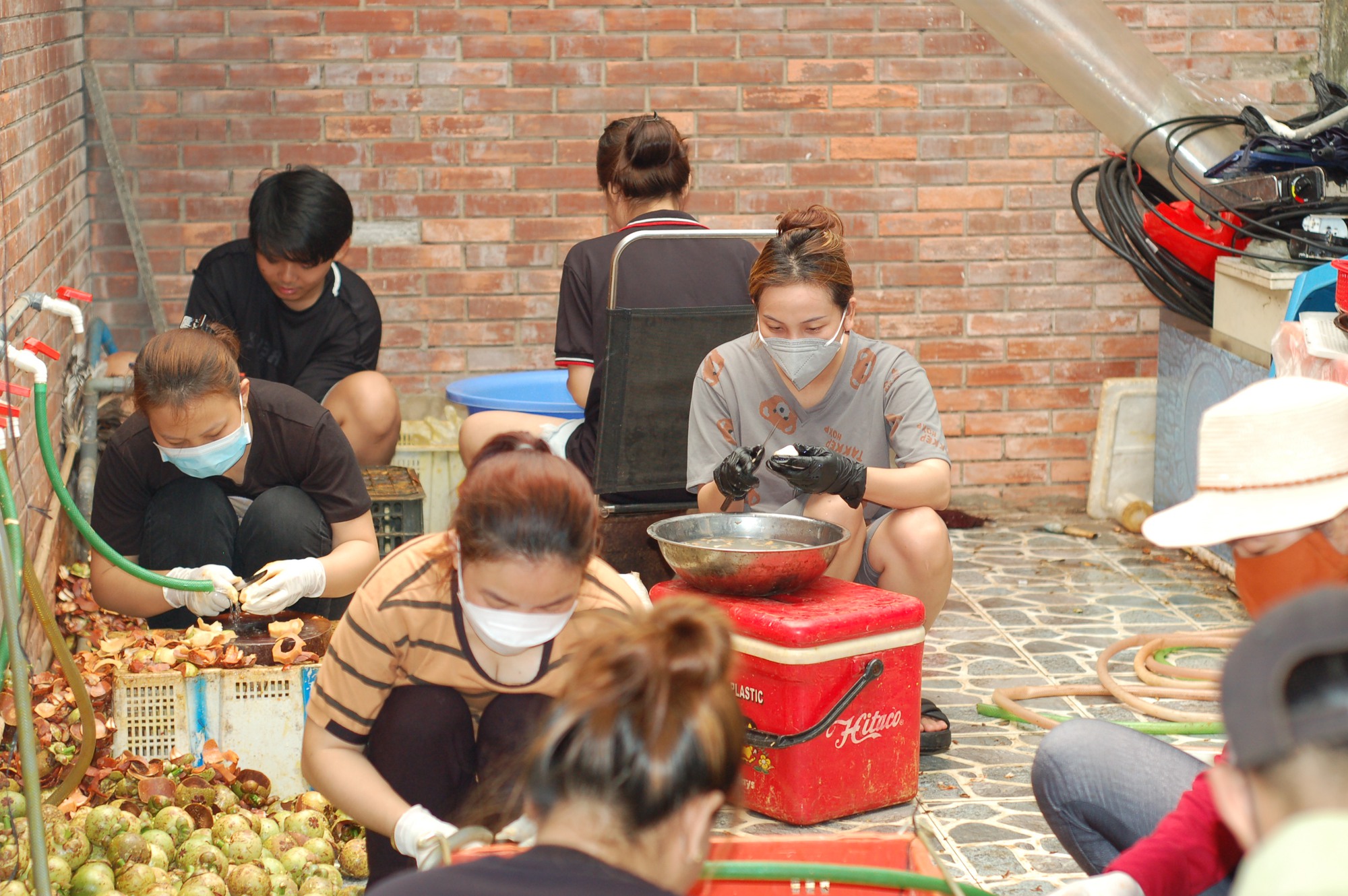 cafe, city ​​area, income, mangosteen, student work part_time, inside the mangosteen barn that consumes more than 1 ton per day in ho chi minh city, students work part-time to earn millions