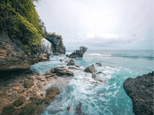 Neil Island, Andaman: Blue Paradise