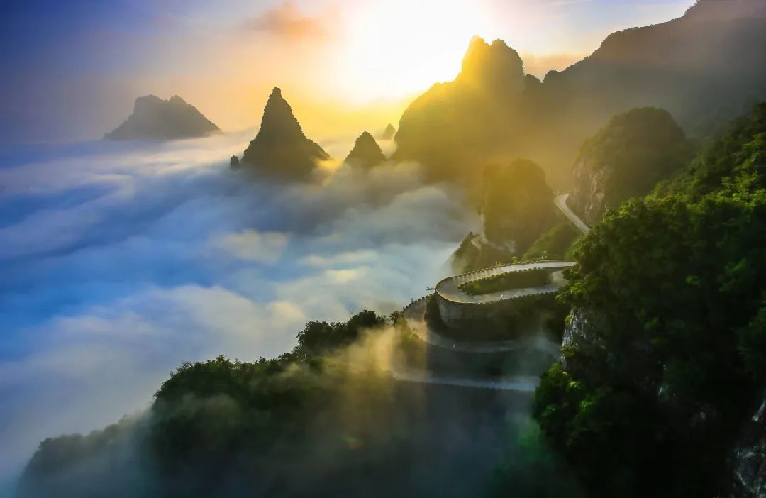 Du lịch Trương Gia Giới: Thiên đường hạ giới ở Hồ Nam, Trung Quốc