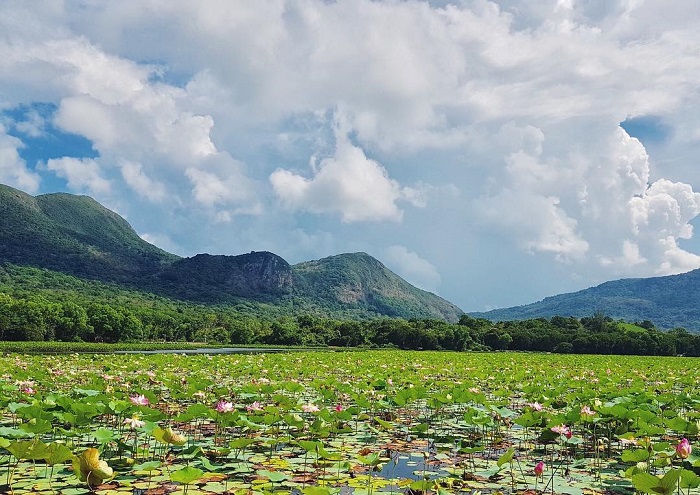 Những hồ trên đảo ở Việt Nam có cảnh sắc tuyệt đẹp, ảnh check in bao xinh  