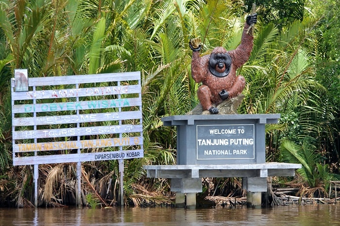 Vườn quốc gia Tanjung Puting Indonesia: thiên đường của những loài đười ươi