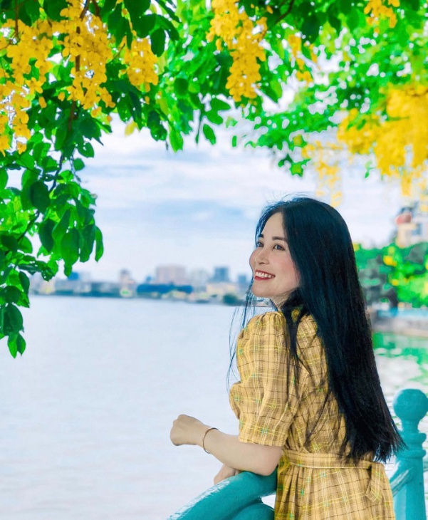 Mùa muồng hoàng yến ở Hà Nội khoe sắc vàng trong nắng hạ