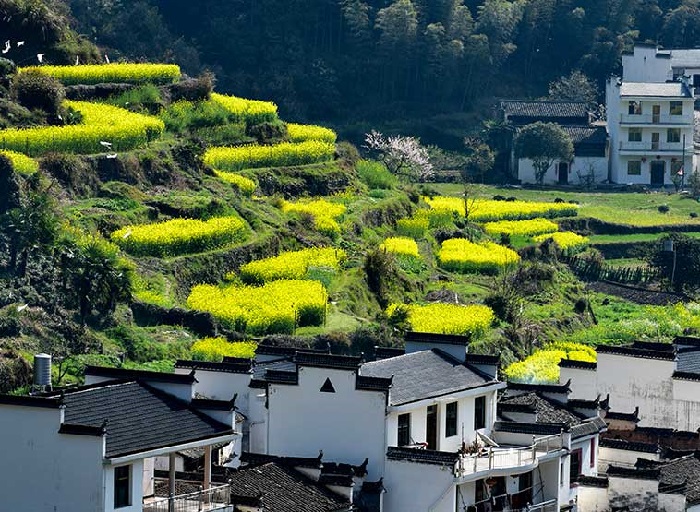 Làng Cổ Vụ Nguyên - Chốn thôn quê đẹp nhất Trung Quốc