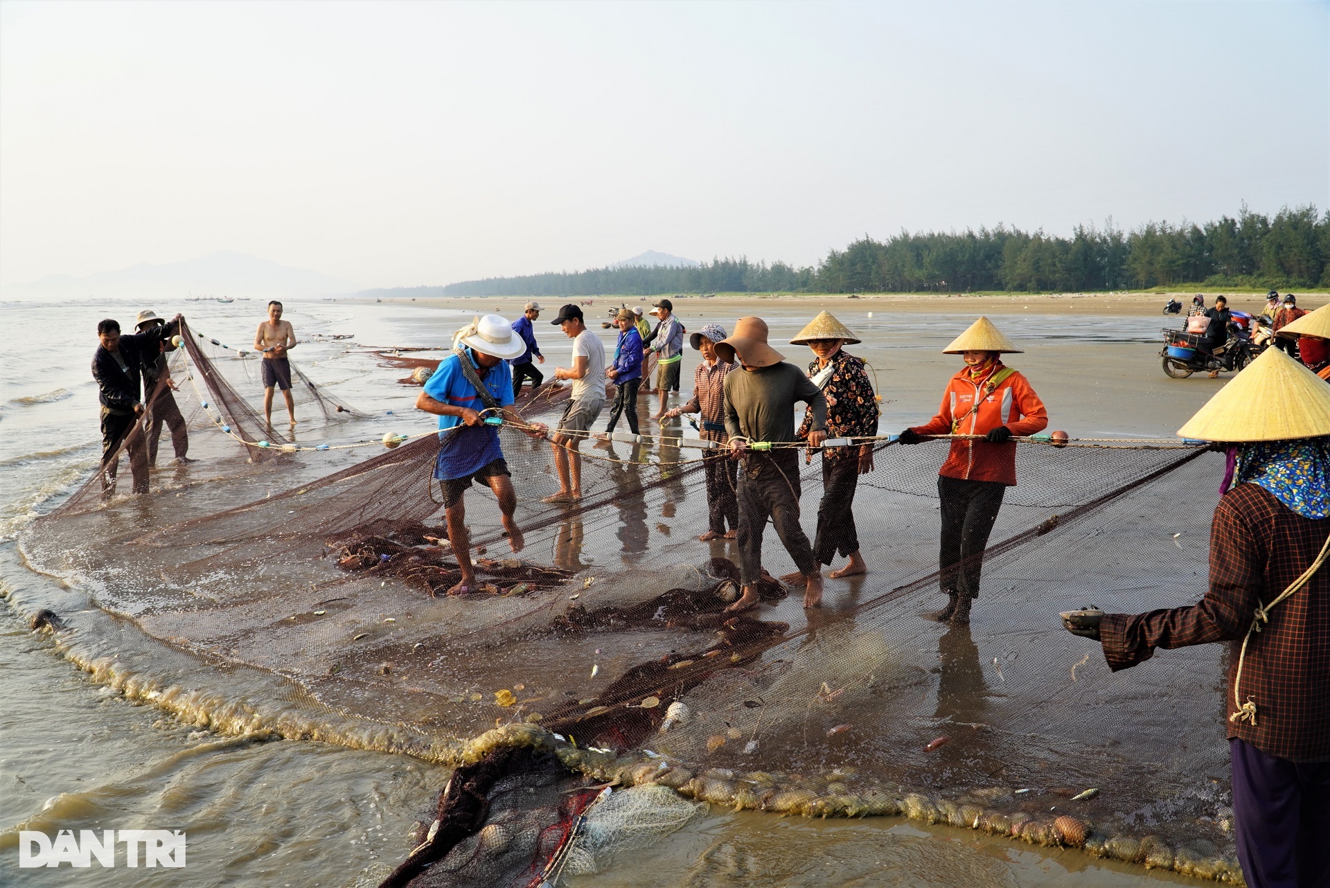 ha tinh province, loc ha district, the group of people “exercising” on the beach also brought back dozens of kilograms of fresh squid