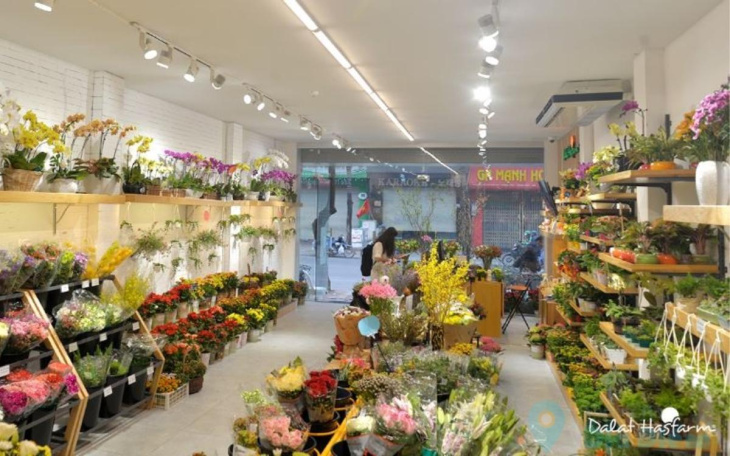 XẾP HẠNG 7 shop hoa tươi Đà Nẵng đẹp, hợp biếu tặng