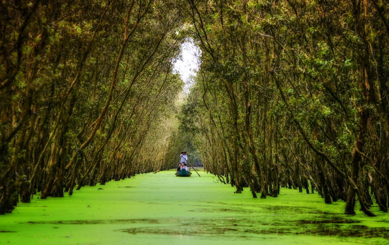 khám phá rừng tràm trà sư – vẻ đẹp của thiên nhiên sông nước