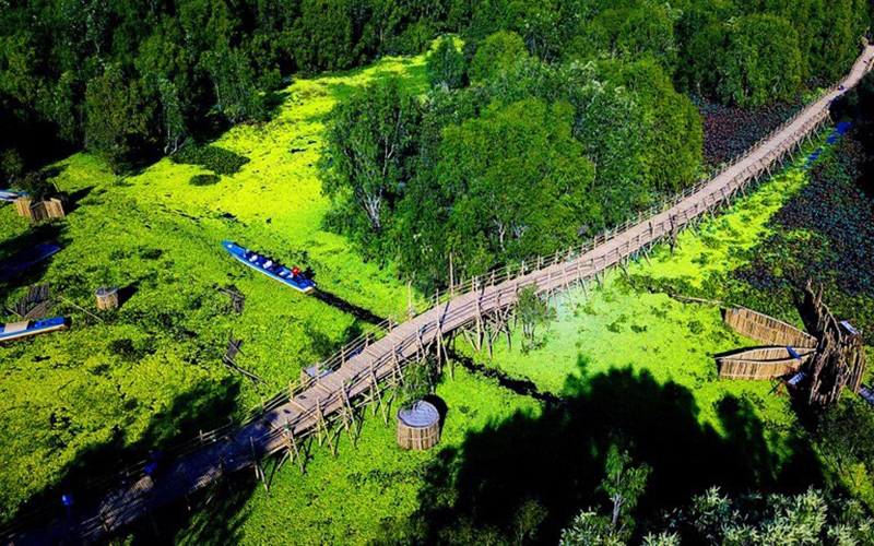 khám phá rừng tràm trà sư – vẻ đẹp của thiên nhiên sông nước