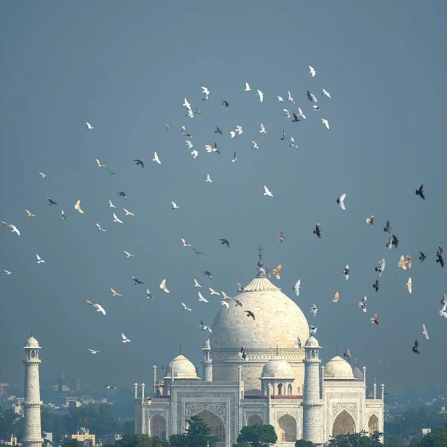 Unveiling India’s 10 Most Popular Landmarks That You Can’t-Miss