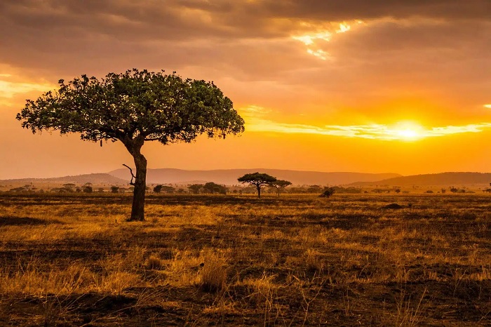 Du lịch Tanzania - khám phá quốc gia đa dạng nhất vùng Đông Phi