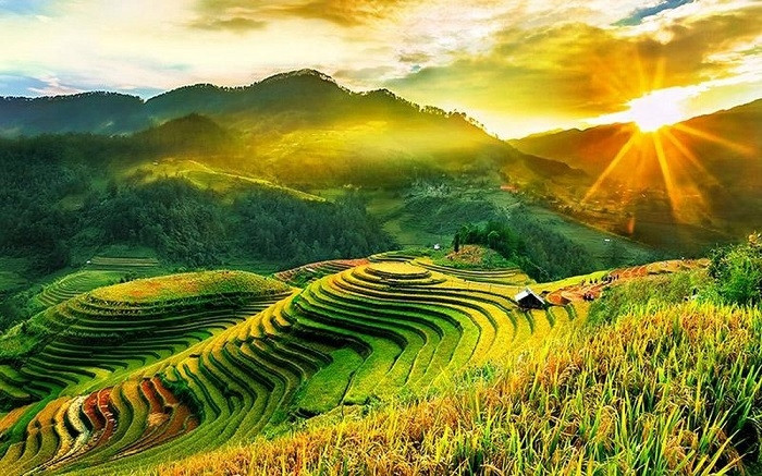 Top 6 ruộng bậc thang đẹp nhất Việt Nam