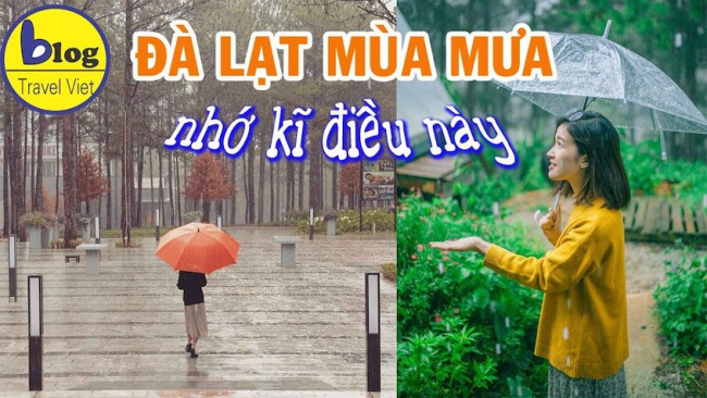 Sạt lở đất nghiêm trọng ở Đà Lạt và kinh nghiệm du lịch mùa mưa