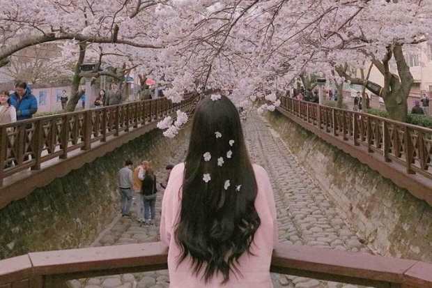 List những cảnh đẹp ở Hàn Quốc được giới trẻ check-in nhiều nhất