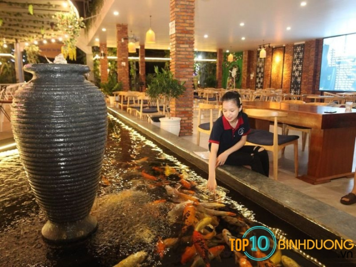 Top 10 Cafe cá Koi Thuận An Bình Dương đẹp nhất