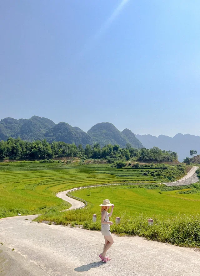 pu luong - a peaceful picture of the ripe rice season