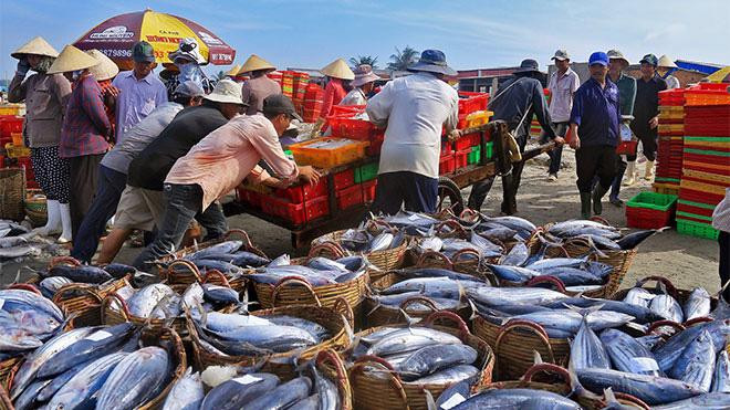 Kinh nghiệm đi chợ hải sải Sầm Sơn Thanh Hóa
