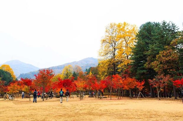 Thời tiết Hàn Quốc tháng 9 – Thời điểm vàng vi vu đến xứ sở kim chi