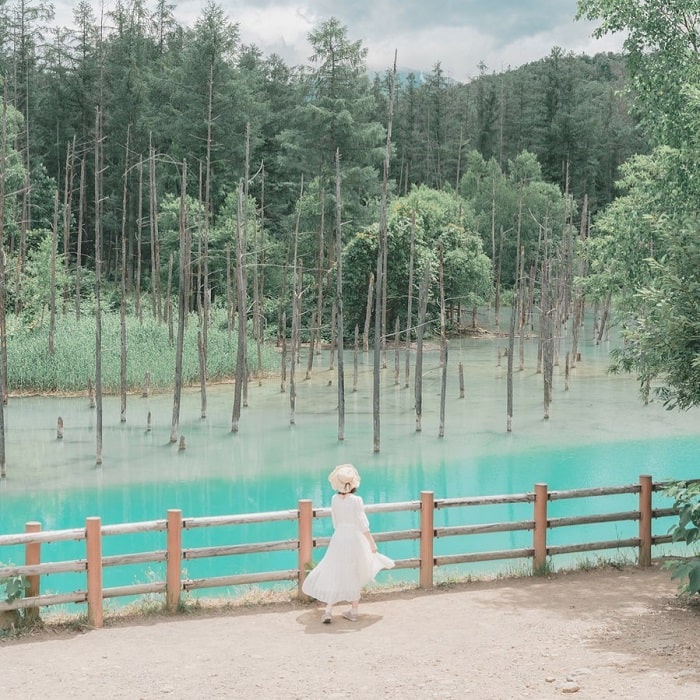 'Sững sờ' trước sắc xanh đầy mê hoặc ở hồ xanh Biei Hokkaido Nhật Bản