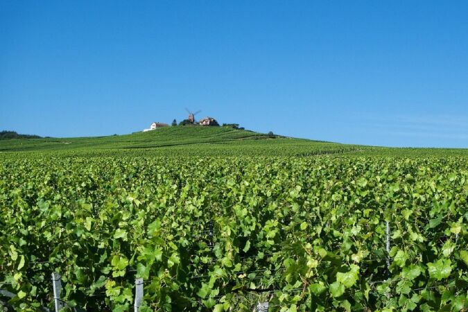 Top 10 vùng rượu vang ngon nhất nước Pháp