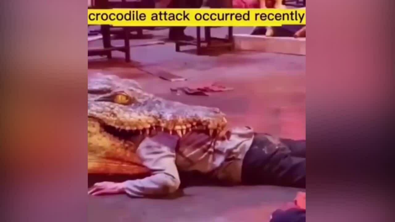 Sự thật cảnh cá sấu cắn người trong phim