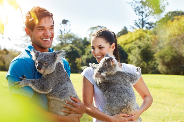 Kinh nghiệm du lịch Úc chi tiết từ A-Z mà bạn nhất định phải biết