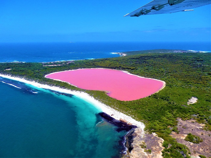 ‘Ngất ngây’ trước vẻ đẹp kỳ diệu của hồ Hillier Úc có màu hồng ngọt ngào