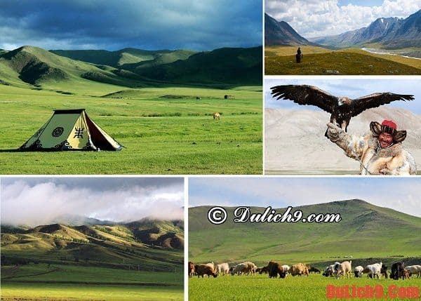 4 điểm đến nên tới khi du lịch Mông Cổ, địa điểm đẹp ở Mông Cổ