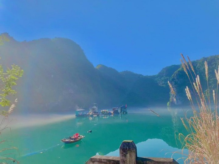 cat ba cuisine, cat ba hotel, cat ba national park, cat ba tourism, travel experience, save now the latest updated self-sufficient cat ba travel experience