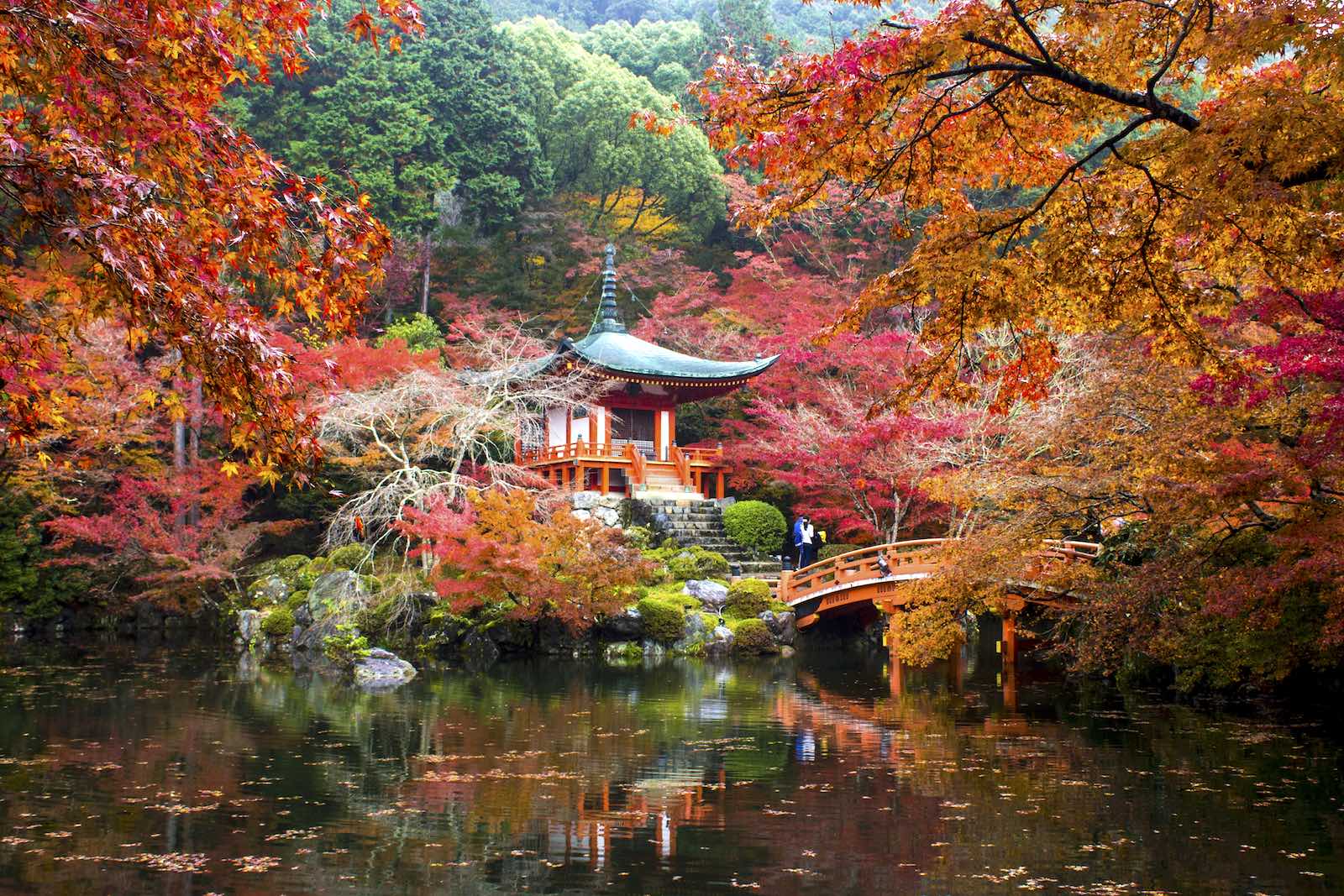 10 địa điểm ngắm lá múa thu đẹp nhất tại Nhật Bản