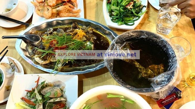 10 seafood restaurants in Hon Gai with delicious food, and super ‘soft’ prices, recommend visiting