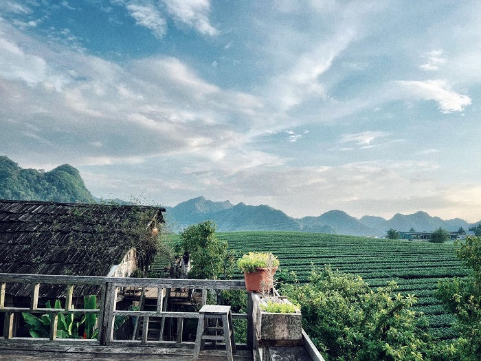 Pocket list of beautiful cafes in Moc Chau suitable for ‘virtual living’