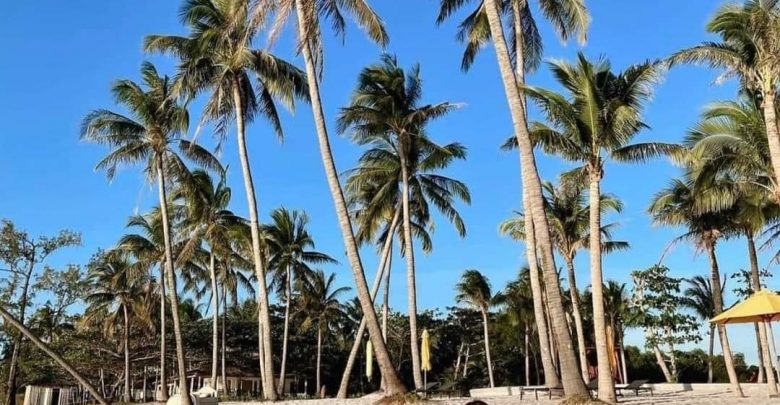Weather in Phu Quoc Island, Vietnam – Best time to visit Phu Quoc Island