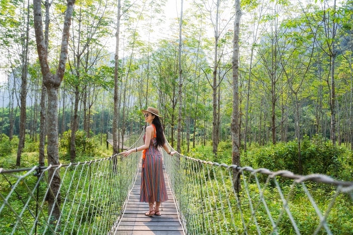Blue Diamond Camp - khu cắm trại view rừng cây xanh ngát ngay gần Động Phong Nha