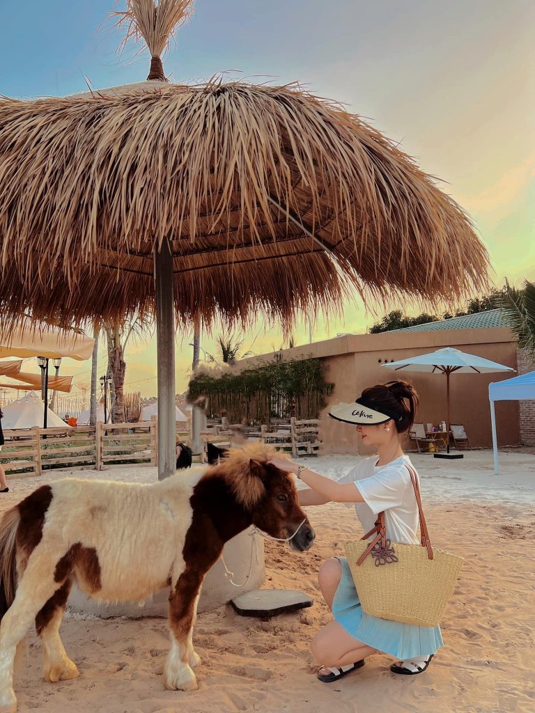 hanna beach – quán cà phê như “vườn thú” nằm ngay bờ biển mũi né