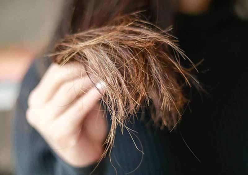 kiểu tóc, 10 cách ủ tóc bằng dầu oliu dưỡng tóc chắc khỏe mọc nhanh