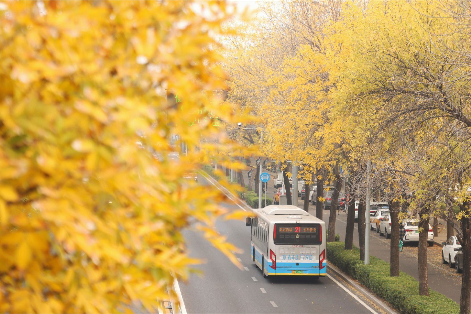Du lịch Bắc Kinh mùa thu: 10 điểm tham quan lá vàng nổi tiếng nhất